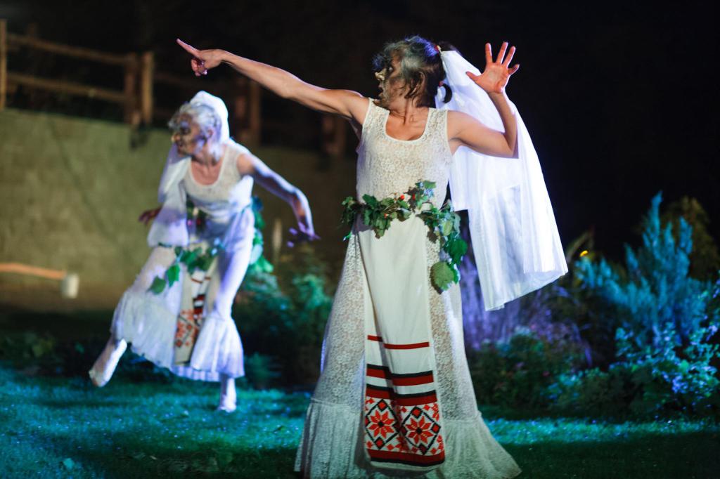 Forest Fairy Tale